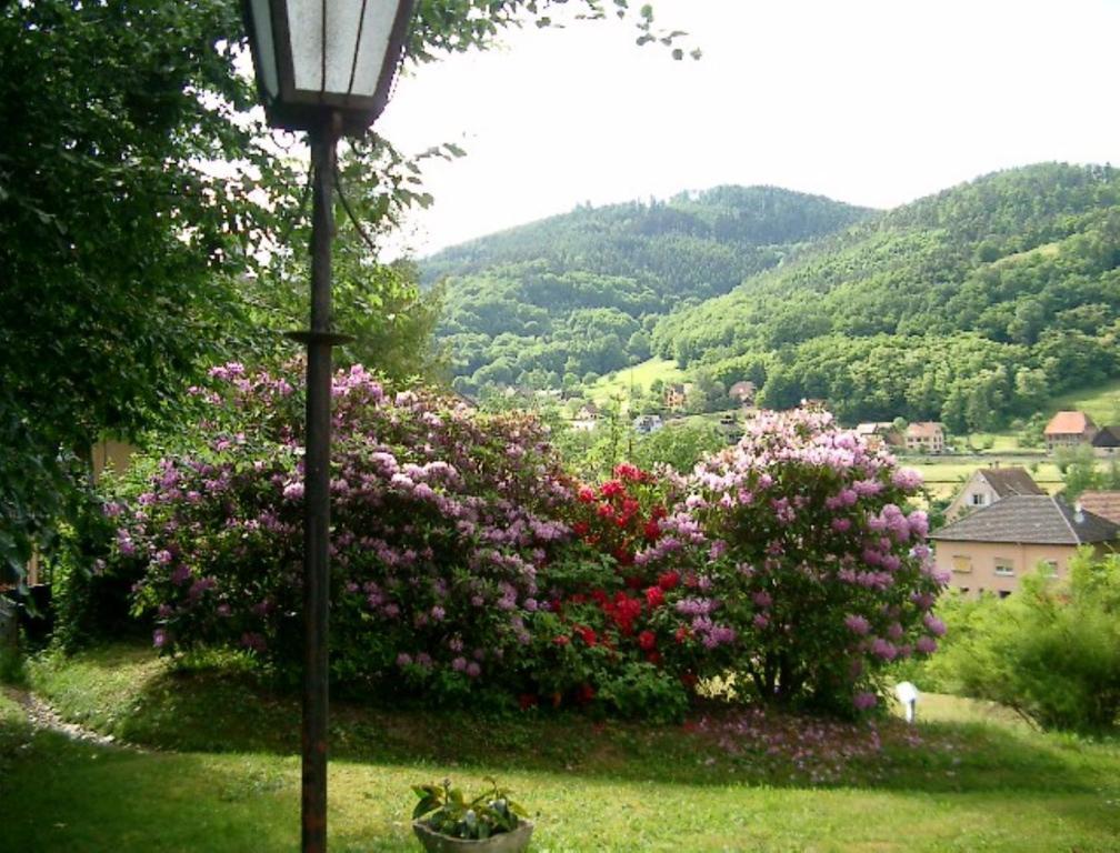 Le Chalet Luttenbach-près-Munster Exterior foto